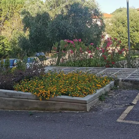 La Mariposa イグレージアス