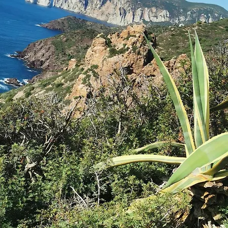 La Mariposa *