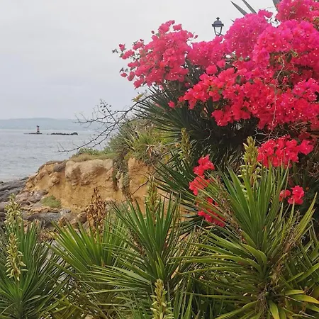 La Mariposa 이글레시아스