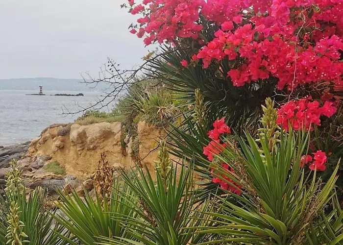 La Mariposa Iglesias